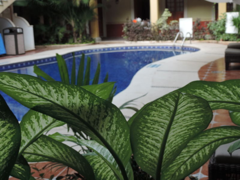 Hacienda Real Del Caribe Hotel Πλάγια Ντελ Κάρμεν Εξωτερικό φωτογραφία